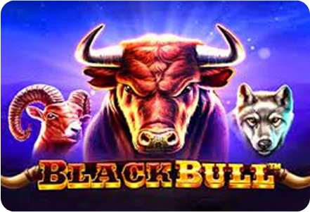 Black Bull